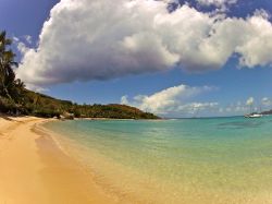 Little Dix Bay - La spiaggia del Resort Little Dix Bay, famoso sull’isola per essere stato il primo ad essere costruito per volontà di Rockefeller . La spiaggia nonostante ...