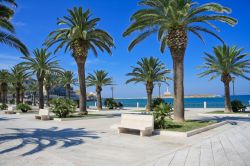 Lungomare di Vieste, visto da Piazza Kennedy. In questo tratto di costa si trovano le migliori spiagge del Gargano, e del nord della Puglia - © Quanthem / Shutterstock.com