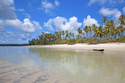 Mafia beach palme litorale isola Tanzania Africa - © Kjersti Joergensen / Shutterstock.com