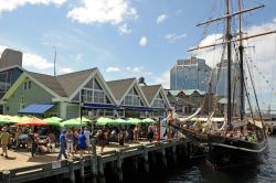 Una manifestazione navale ad Halifax - Nuova Scozia, Canada - durante il Tall Ships Festival. E' il mese di luglio e siamo all'interno dell'Halifax Harbour, un porto vivace costeggiato ...