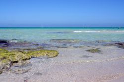 Mare limpido e spiaggia solitaria a Djerba in Tunisia. D'estate il mare raggiunge valori di temperatura di 27-28 °C ed è quindi uno dei luoghi , tra quelli vicini all'Italia, migliori per ...