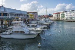 La marina di Bridgetown a Barbados - © Philip Willcocks / Shutterstock.com 