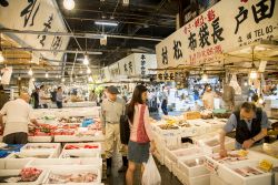 Il Mercato del pesce a Tsukiji (Tokyo), è considerato come il mercato ittico più grande del mondo, ed è famoso per l'asta dei tonni, con ingresso a numero chiuso per ...