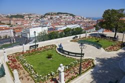 Il Miradouro de São Pedro de Alcântara è uno dei più conosciuti e spettacolari belvedere di Lisbona - foto © StockPhotosArt / shutterstock.com