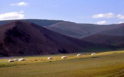 Mongolia un paesaggio trapuntato dalle Gher le tende tipiche - Foto di Giulio Badini / I Viaggi di Maurizio Levi