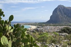 Monte Monaco e spiaggia a San Vito lo Capo, in Sicilia. In primo piano, fichi d'india  - © LCF / Shutterstock.com