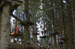 Monte Pilatus Rope Park, Svizzera