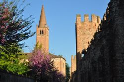 Dentro alla cinta muraria di Montagnana, lungo il fianco sud-orientale: il campanile appartiene alla chiesa di San Francesco