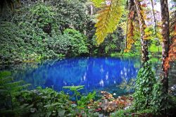 Nanda Blue Hole, il magnifico lago azzurro di Espiritu Santo, arcipelago di Vanuatu - © Karin Wassmer / Shutterstock.com