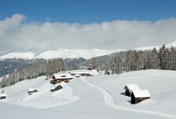Paesaggio delle Dolomiti di Sesto in Alta Pusteria (Trentino). Qui ci sono ottime possibilità per praticare lo sci di fondo - © pecold / Shutterstock.com