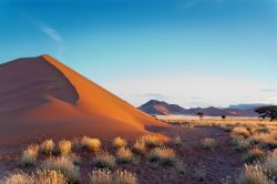 Il paesaggio surreale del deserto nei pressi di Sossusvlei in Namibia, dove si trovano le grandi dune di sabbia a forma di stella - © JaySi / Shutterstock.com