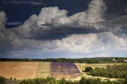 Paesaggio tipico della Provenza .Ci troviamo a nord di Apt, in Francia - © newphotoservice / Shutterstock.com