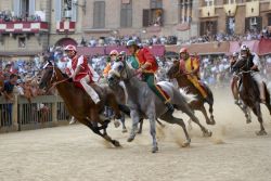 Il Palio di Siena, che si svolge ogni anno all'inizio di luglio e a metà agosto nel cuore della Toscana, vede sfidarsi le contrade cittadine in una vera e propria giostra equestre ...