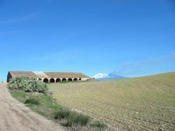 Panorama delle campagne nei dintorni di Ramacca: sullo sfondo l'inconfondibile profilo del Vulcano Etna - © Pro Loco Ramacca