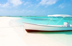 Un vero paradiso tropicale: una spiaggia a Los Roques in Venezuela, nei Caraibi meridionali - © Dmitry Burlakov / Shutterstock.com