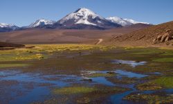 Il Parco Nazionale di Lauca, sullo sfondo il profilo del grande vulcano Licancabur: siamo vicino a San Pedro de Atacama in Cile - © Cheapman_mike / Shutterstock.com