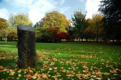 Parco pubblico a Cardiff in autunno - © David Lehner / Shutterstock.com