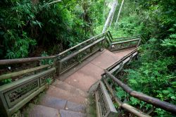 Passerella che conduce alle piattaforme di osservazione delle cascate di Iguaçu in Brasile e Argentina (Circuito Inferior) - © Jennifer Stone / Shutterstock.com