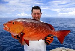 Pesca sportiva nell'Oceano Indiano: in alto mare a Nosy Be (Madagascar), è possibile catturare questi notevoli esemplari di Red Snapper, il pesce che porta il nome scientifico di ...
