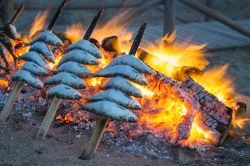 Sardine arrostite in spiaggia durante la Gran Fiesta del Verano nella città di Malaga (Andalusia, Spagna) - © MrSegui / Shutterstock.com