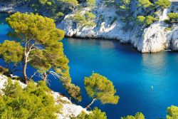 Pini sulle rocce a strapiombo sul mare de Les Calanques, nei pressi di Cassis, Francia - foto © ventdusud / Shutterstock.com