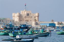 Porto e Cittadella di Alessandria d'Egitto - © Waltraud Oe / Shutterstock.com