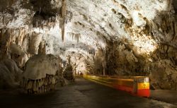Postojna (Slovenia): dentro le Grotte di Postumia con il trenino - Cortesia foto www.postojnska-jama.eu