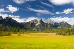 Il Jasper National Park nella provincia canadese di Alberta non è solo Montagne Rocciose: tra i picchi innevati si spalancano suggestive praterie - © Natalia Pushchina / Shutterstock.com ...