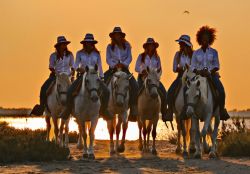 Ragazze Donnavventura con i cavalli della Camargue in Francia - © DONNAVVENTURA® 2015 - Tutti i diritti riservati - All rights reserved