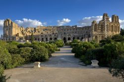Il Colosseo di E-Djem, uno dei monumenti romani più importanti della Tunisia. L'anfiteatro di El Jem è uno dei più imponenti e meglio conservati anfiteatri del mondo, ...
