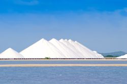 Le candide saline di Bonaire - © Durden Images / Shutterstock.com