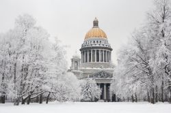 L'inverno a San Pietroburgo può essere piuttosto rigido, come in tutta la Russia, ma la neve rende la città, i suoi monumenti e i suoi parchi ancora più magici ...