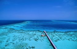 Sanghaneb reef la barriera corallina vergine del Mar Rosso, in Sudan - © Angelo Giampiccolo / Shutterstock.com