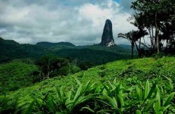 Isola di Sao Tomè, Africa: un dicco vulcanico (Cao Grande) si alza sui verdi paesaggi collinari del piccolo stato nel golfo di Guinea - © Filippo Aragone - www.panoramio.com/user/filiara ...