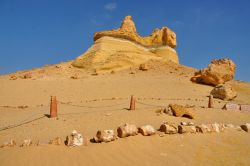 Scheletro di Basilosaurus presso Wadi al-Hitan, in Egitto - In collaborazione con I Viaggi di Maurizio Levi