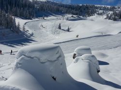 Sciare a Folgaria in Trentino, piste adatte ad ogni livello di sciatore - ©  Folgariaski.com