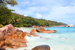 Scogli di granito sulla spiaggia di Praslin alle Seychelles - © Dmitry Burlakov / Shutterstock.com