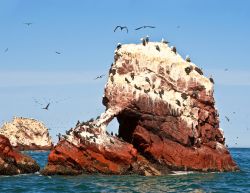 Scoglio coperto da guano: ci troviamo alle Islas ...