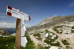 Sentiero Cai sulle Dolomiti di brenta, sopra al Passo Grostè a Madonna di Campiglio (Trentino) - © m.bonotto / Shutterstock.com