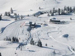 Settimana bianca sulle nevi di Folgaria in Trentino - © Folgariaski.com