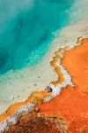 Black pool è una sorgente termale nel parco di Yellowstone (USA). Notare il contrasto tra le acque cristalline ed i fanghi colorati, con la pigmentazione dovuta sia per la presenza di ...