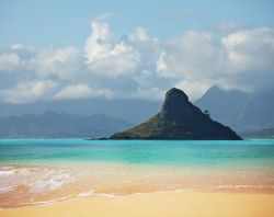 Spiagga tropicale isola Oahu Hawaii USA  - © Galyna Andrushko / Shutterstock.com