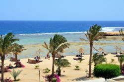 La Spiaggia di Marsa Alam in Egitto. La costa orientale dell' Africa, lungo il Mar Rosso è bordata dalla barriera corallina. Si nota il blu delle acque più profonde all'esterno ...
