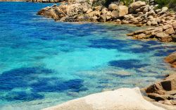 Un tratto di costa granitica vicino a Palau, in Gallura, nel nord della Sardegna, lambita da un'acqua così cristallina da sembrare dipinta - © Web Picture Blog / Shutterstock.com ...