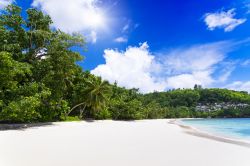Spiaggia bianca a  Baie Lazare, nell'arcipelago delle Seychelles, sull'Isola di Mahe  - © Chaikovskiy Igor / Shutterstock.com
