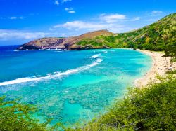 Spiaggia con barriera corallina alle Hawaii. Questo è uno dei siti ideali per compiere dello snorleling sull'isola di Oahu la terza per dimensioni delle isole Hawaii - © ...