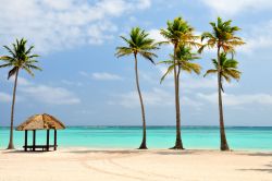 Spiaggia con palme e mare turchese a Punta Cana, Repubblica Dominicana - © Binu Mathew / Shutterstock.com