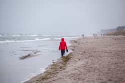 Spiaggia della costa del Meclemburgo-Pomerania nel tardo autunno. Ci troviamo nella zona di Graal Muritz, nel nord della Germania - © Axel Lauer / Shutterstock.com