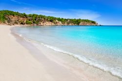 La spiaggia ed il mare cristallino di Cala Llenya. Ibiza è famosa per la sua sfrenata vita notturna, ma anche per il mare molto lipido e le sue playa dove rilassarsi al sole di Spagna. ...