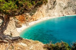Particolare della spiaggia di Porto Katsiki a Lefkada, Grecia - E' probabilmente la più famosa di tutta Lefkada, una delle isole greche nord-occidentali, questa spiaggia che si trova ...